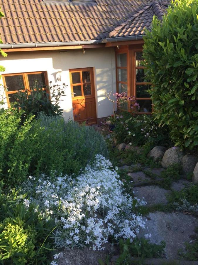Ferienwohnung Stockrose Middelhagen Exterior foto